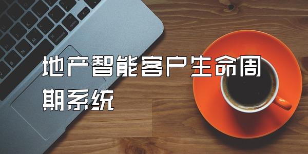 地产智能客户生命周期系统