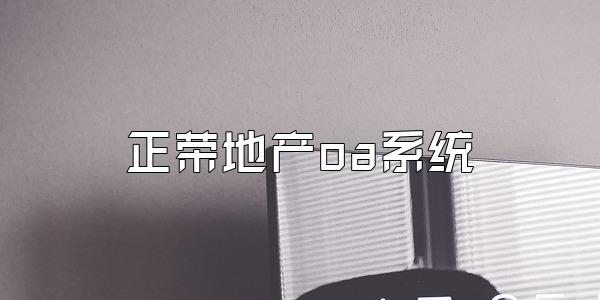 正荣地产oa系统
