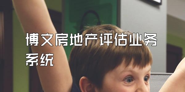 博文房地产评估业务系统
