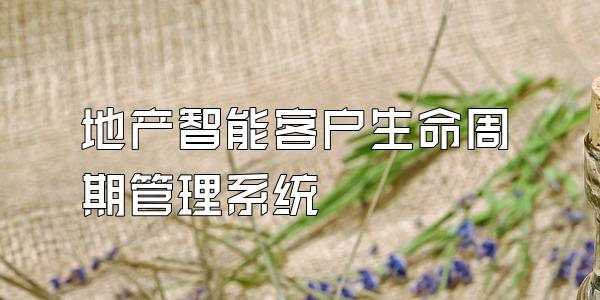 地产智能客户生命周期管理系统