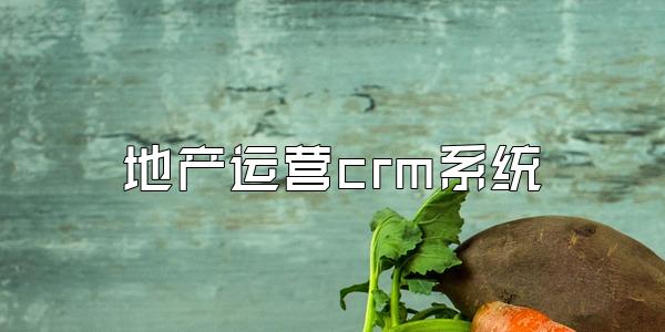 地产运营crm系统