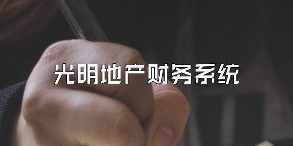光明地产财务系统
