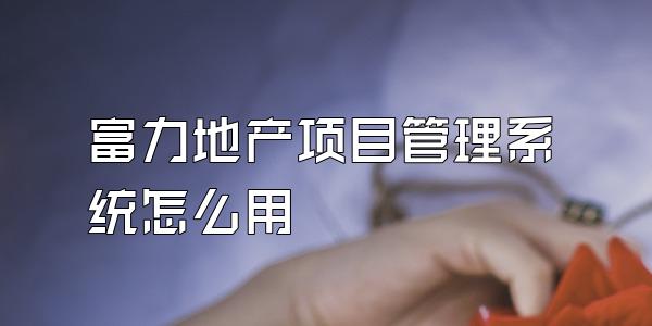 富力地产项目管理系统怎么用