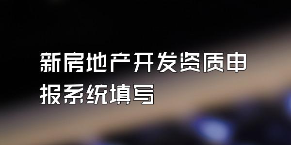 新房地产开发资质申报系统填写