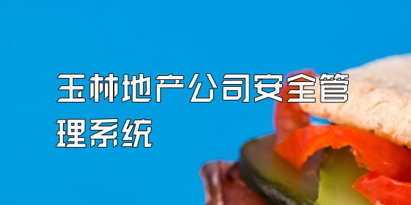玉林地产公司安全管理系统