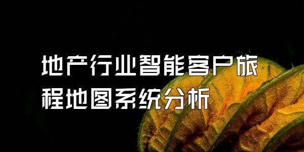 地产行业智能客户旅程地图系统分析