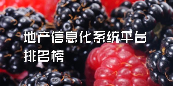 地产信息化系统平台排名榜