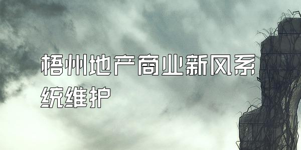 梧州地产商业新风系统维护