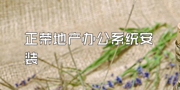 正荣地产办公系统安装
