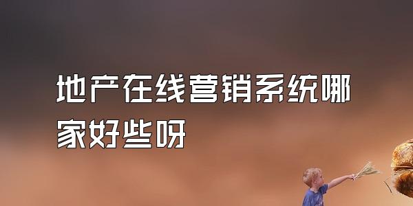 地产在线营销系统哪家好些呀