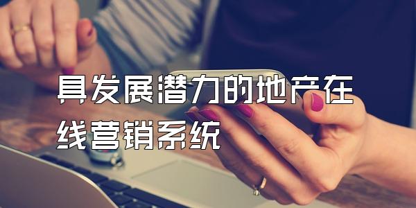 具发展潜力的地产在线营销系统