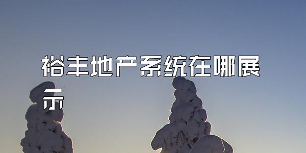 裕丰地产系统在哪展示