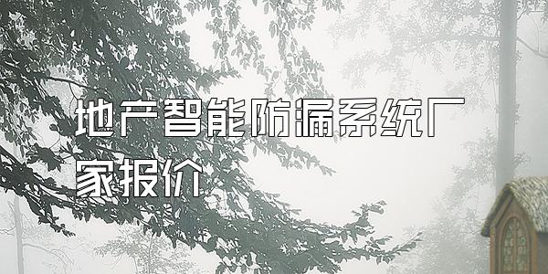 地产智能防漏系统厂家报价