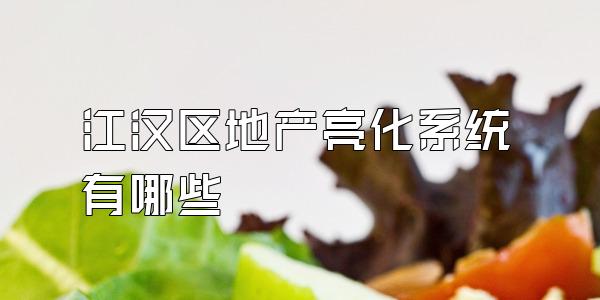 江汉区地产亮化系统有哪些