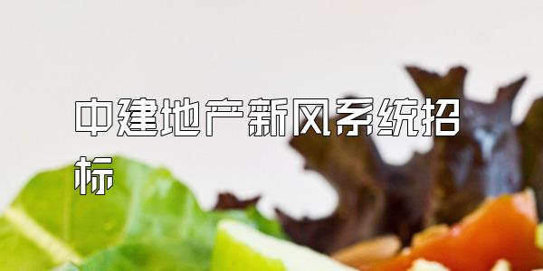 中建地产新风系统招标
