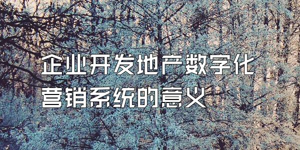 企业开发地产数字化营销系统的意义