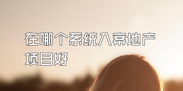 在哪个系统入案地产项目好