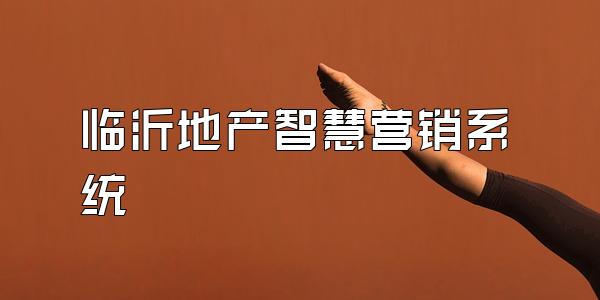 临沂地产智慧营销系统