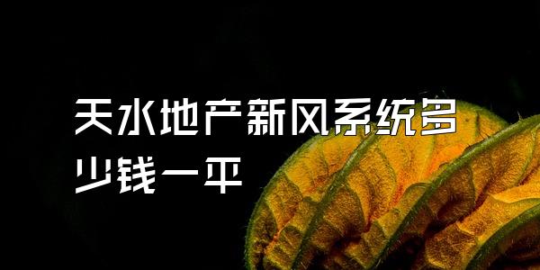 天水地产新风系统多少钱一平