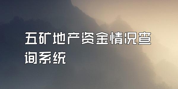 五矿地产资金情况查询系统