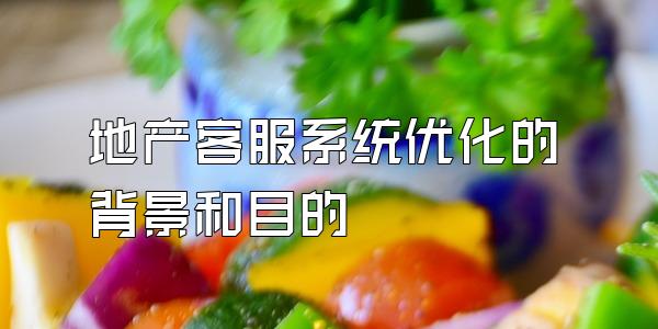 地产客服系统优化的背景和目的
