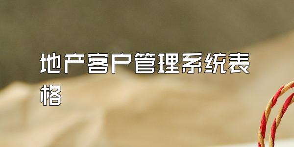 地产客户管理系统表格