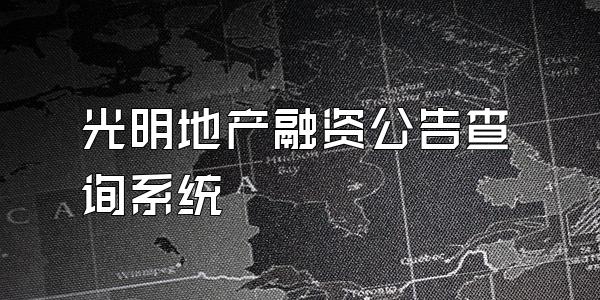 光明地产融资公告查询系统