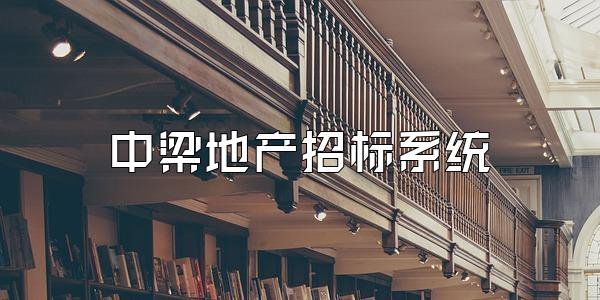 中梁地产招标系统