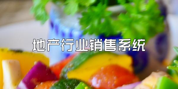 地产行业销售系统