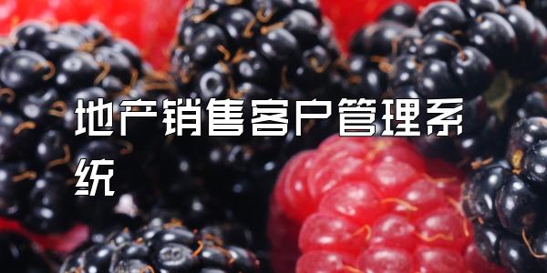 地产销售客户管理系统