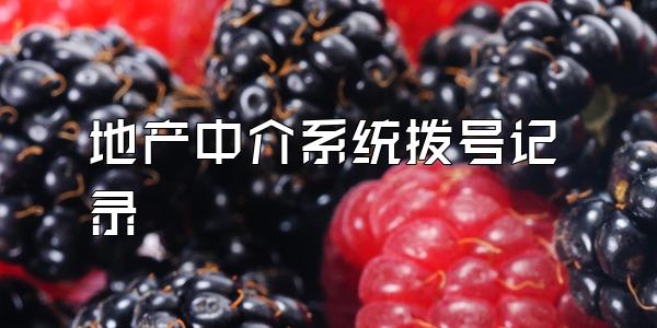 地产中介系统拨号记录