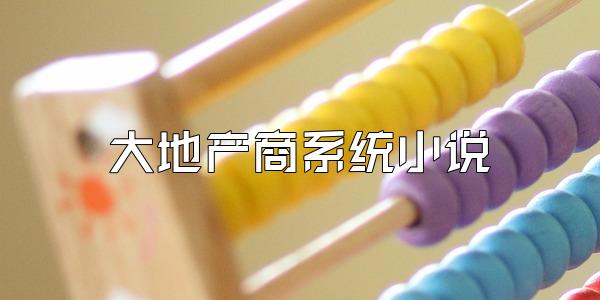 大地产商系统小说