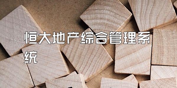 恒大地产综合管理系统
