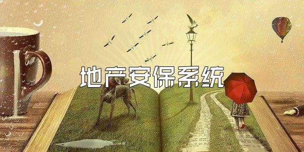 地产安保系统