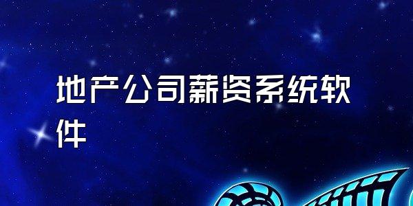 地产公司薪资系统软件