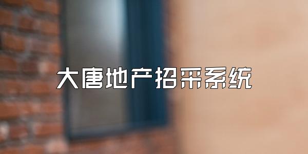 大唐地产招采系统