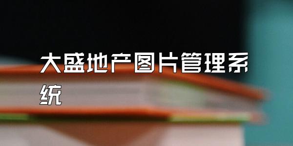 大盛地产图片管理系统