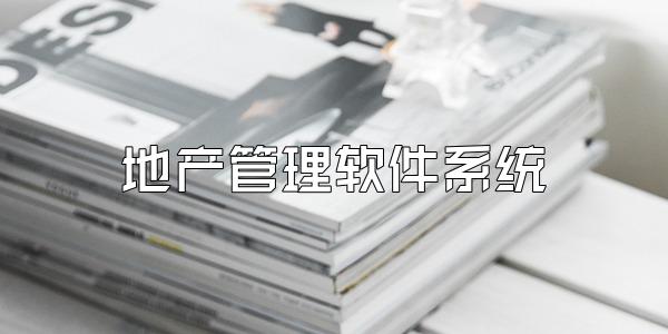 地产管理软件系统