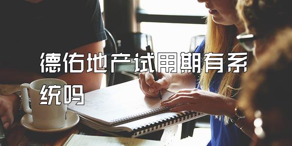 德佑地产试用期有系统吗