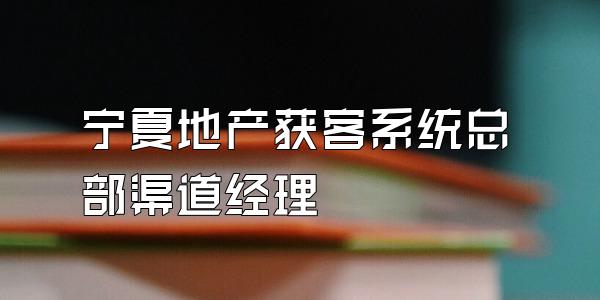 宁夏地产获客系统总部渠道经理