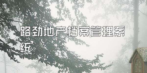 路劲地产档案管理系统