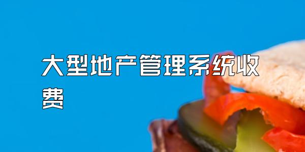 大型地产管理系统收费