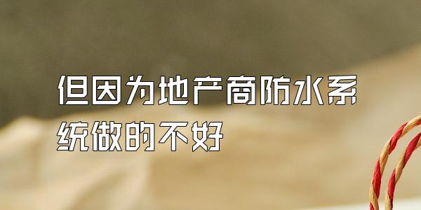 但因为地产商防水系统做的不好