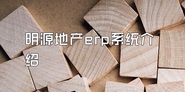 明源地产erp系统介绍