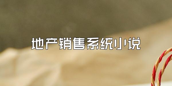 地产销售系统小说