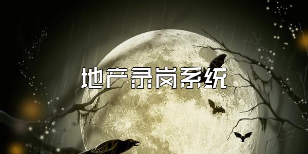 地产录岗系统