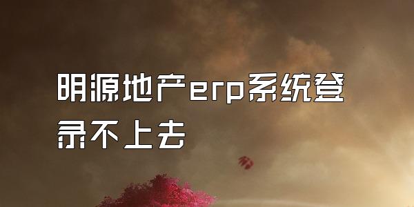 明源地产erp系统登录不上去