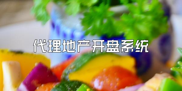 代理地产开盘系统