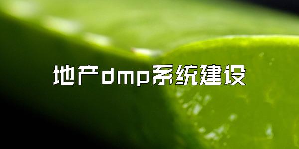地产dmp系统建设