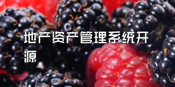 地产资产管理系统开源